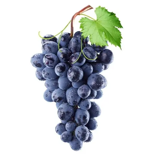 [22546] UVA NEGRA TEMPRANILLO (GRANEL)