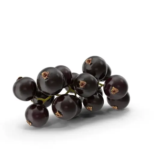 [27980] GROSELLA NEGRA 125G ECOS DEL LOZOYA