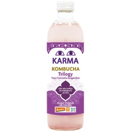 KOMBUCHA GINGER TRILOGY 1L KARMA