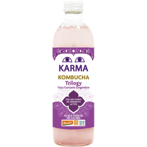 [29191] KOMBUCHA GINGER TRILOGY 1L KARMA