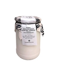 POSTRE DE COCO BIFIDUS Y LACTOBACILLUS 500G BYANGELA