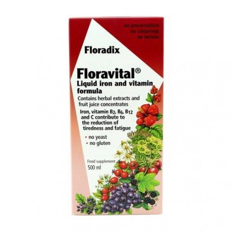 [19408] FLORADIX-FLORAVITAL 250ML SALUS