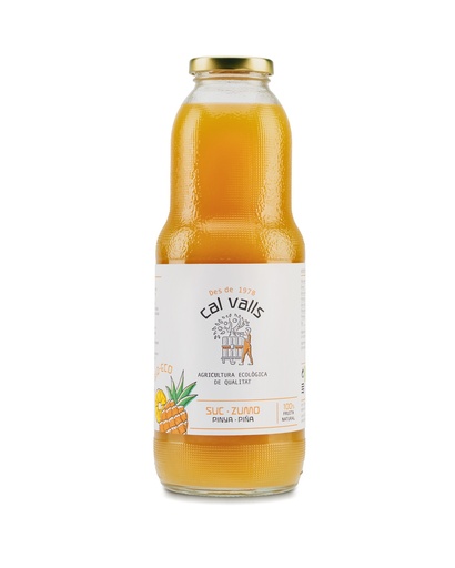 [2008] ZUMO DE PIÑA 1L CAL VALLS