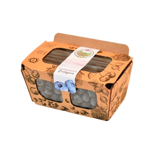 [24338] ARÁNDANOS BANDEJA 500G BIOMONCOBE