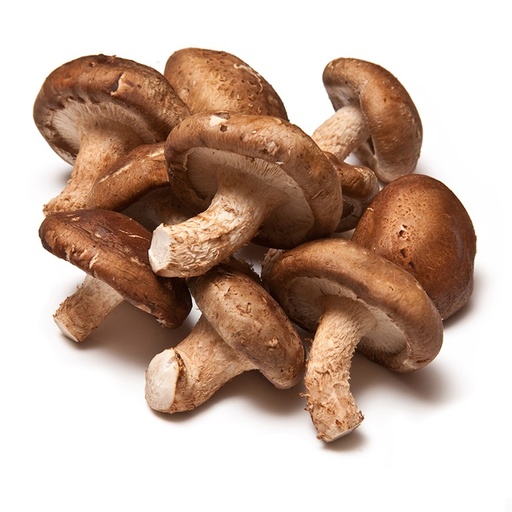 [47] SHIITAKE (GRANEL)
