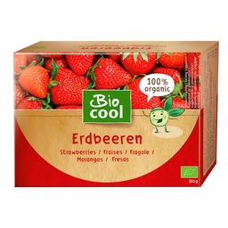 FRESAS CONGELADAS 300G BIOCOOL