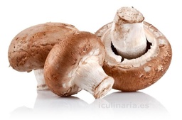 CHAMPIÑON PORTOBELLO (GRANEL)