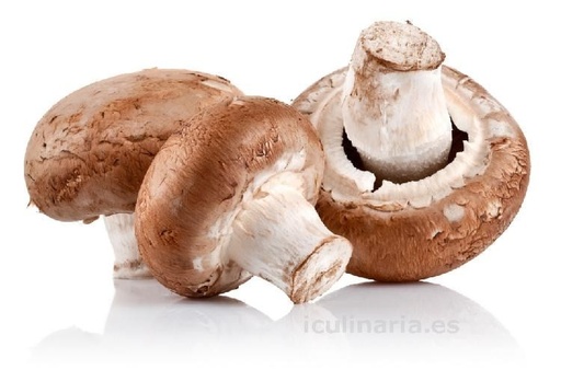 [16] CHAMPIÑON PORTOBELLO (GRANEL)