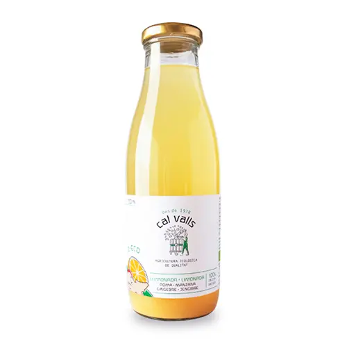 [30237] ZUMO DE MANZANA CON JENGIBRE 750ML CAL VALLS