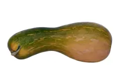 CALABAZA VASCA (GRANEL)