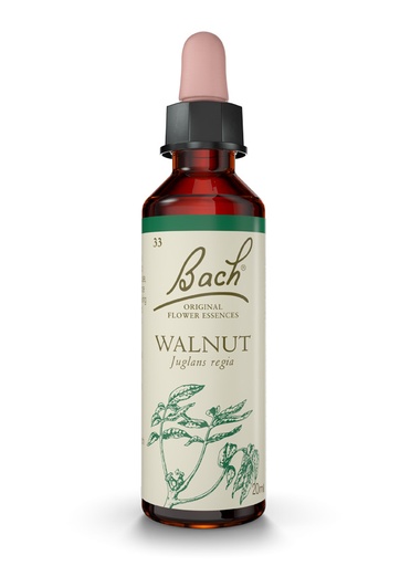 [31407] FLORES DE BACH WALNUT-NOGAL 20ML FLORES DE BACH 