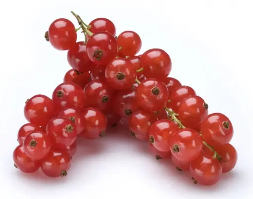 [27977] GROSELLA ROJA 125G  ECOS DEL LOZOYA