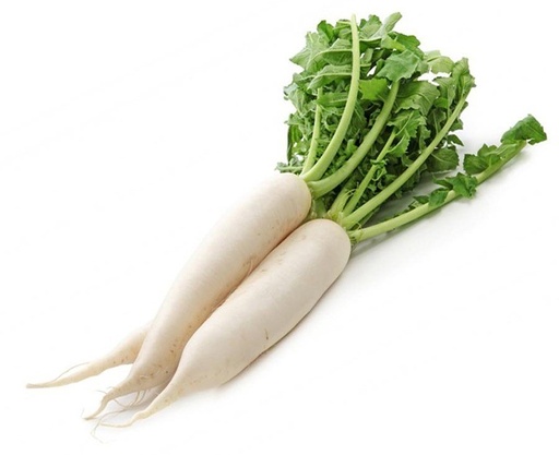 [9705] NABO DAIKON (GRANEL)