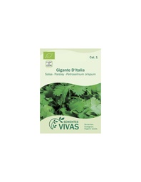 PEREJIL GIGANTE DE ITALIA SEMILLA CULTIVAR 2G SEMILLAS VIVA