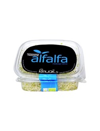 GERMINADO DE ALFALFA 50G KIMUAK