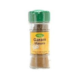 GARAM MASALA 30G ARTEMIS