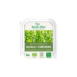 GERMINADO ALFALFA Y BERROS 70G BROT D´OR
