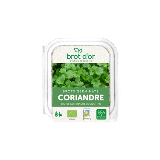 [13532] GERMINADO DE CILANTRO 50GR BROT DOR