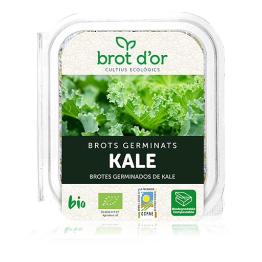 [29411] GERMINADO KALE 70G BROT D´OR